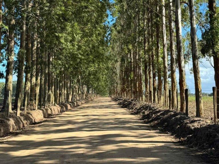 transfer para caraiva na bahia 2